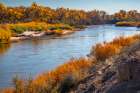 USA, New Mexico. Rio Grande River and cottonwood trees in autumn. Art Print